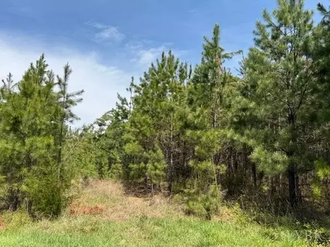 2 Stage Rd, Concord, VA 24538 photo 6