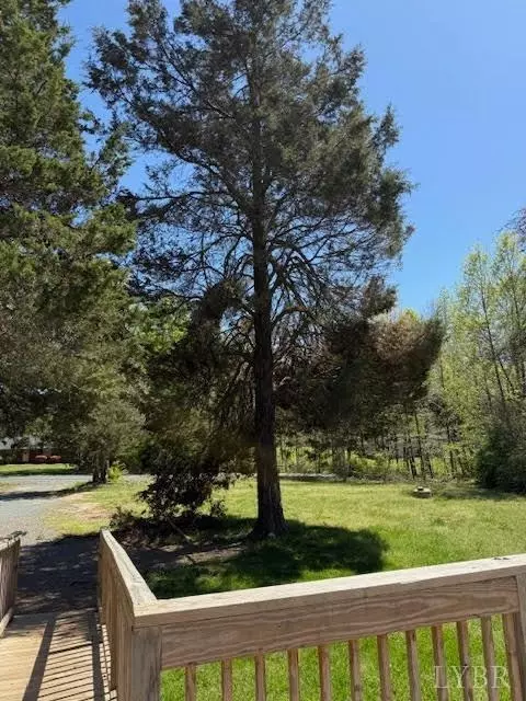 1098 Pamplin Rd, Pamplin, VA 23958 photo 21