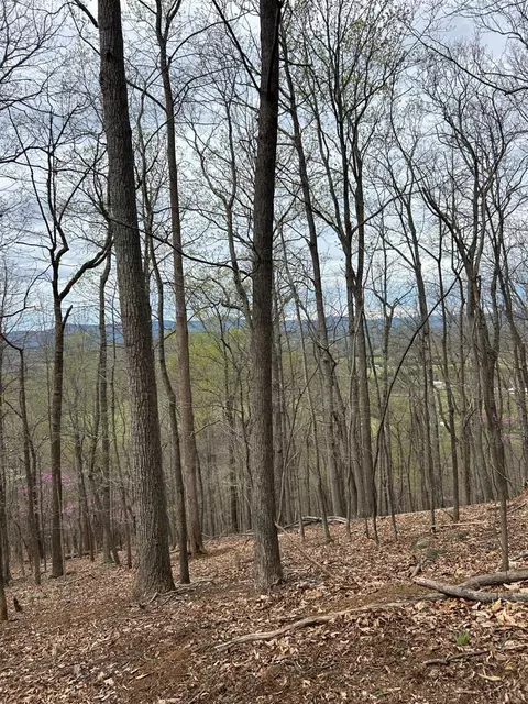14 Crane Dr, Monroe, VA 24574