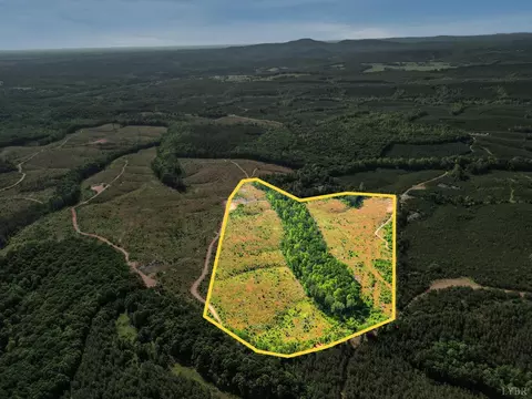 4042 Norwood Rd, Gladstone, VA 24553