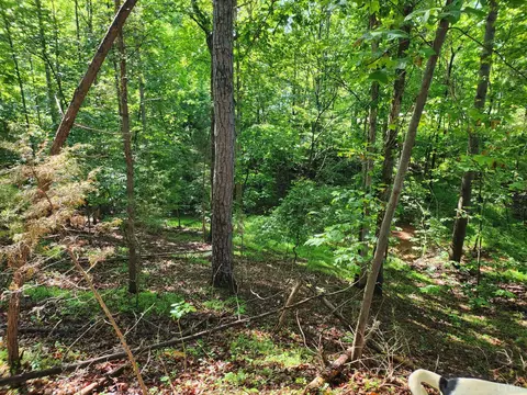 Undisclosed, Wirtz, VA 24184
