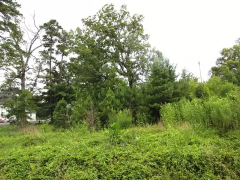 0 Lowesville Rd, Piney River, VA 22964 photo 2