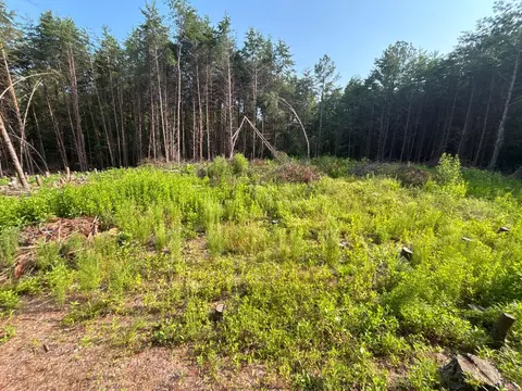 0 Felix Rd, Nathalie, VA 24577