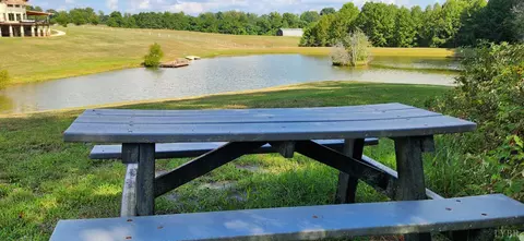 25 Riley Run Rd, Forest, VA 24551 photo 19