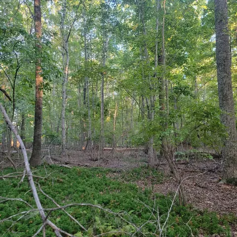 0 Dunivan Dr, Rustburg, VA 24588 photo 7