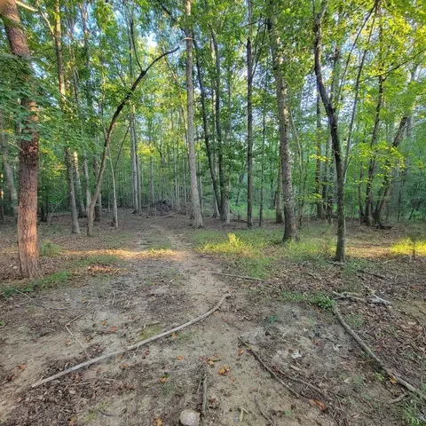 0 Dunivan Dr, Rustburg, VA 24588 photo 6