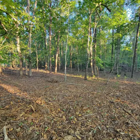 0 Dunivan Dr, Rustburg, VA 24588 photo 5