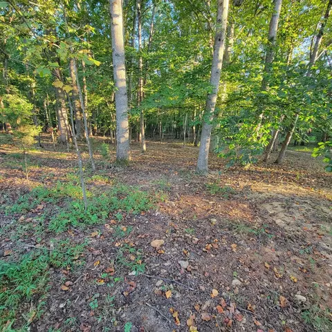 0 Dunivan Dr, Rustburg, VA 24588 photo 3