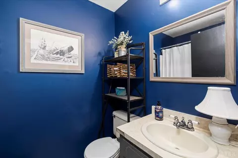 Bath - 250 S Wood Duck Dr, Madison Heights, VA 24572 photo 1 of 2