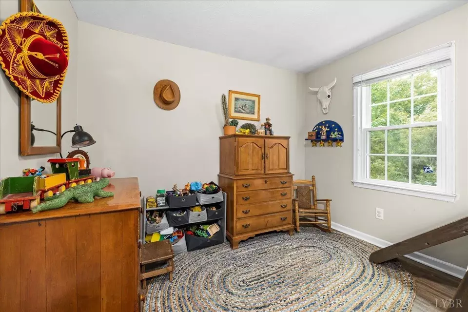 Other - 250 S Wood Duck Dr, Madison Heights, VA 24572 photo 3 of 9