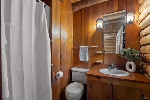 667 Doe Run Ln, Evington, VA 24550 photo 23