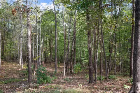 5211 Covered Bridge Rd, Gladys, VA 24554 photo 39
