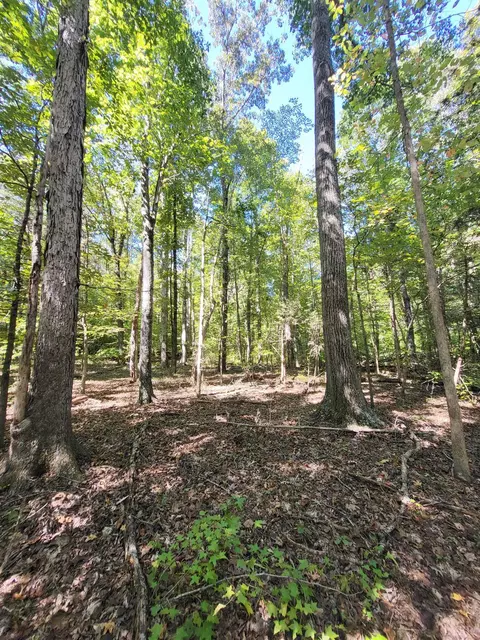 9 Cedar Lake Rd, South Boston, VA 24592