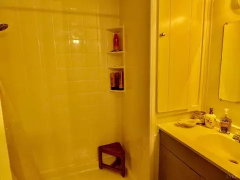 Bath - 6223 Joppa Mill Rd, Moneta, VA 24121 photo 6 of 6