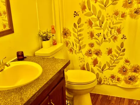 Bath - 6223 Joppa Mill Rd, Moneta, VA 24121 photo 3 of 6