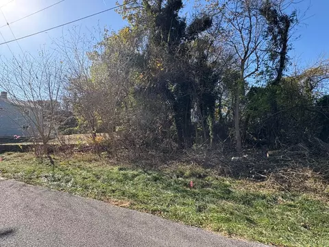 2009 Elm St, Lynchburg, VA 24504