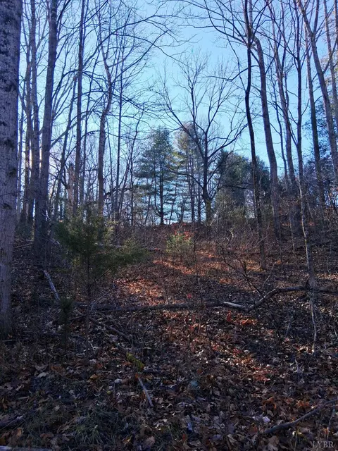 0 Peters Creek Rd, Big Island, VA 24526
