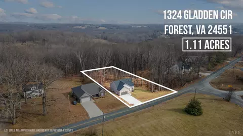 1324 Gladden Cir, Forest, VA 24551 photo 58