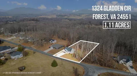 1324 Gladden Cir, Forest, VA 24551 photo 57
