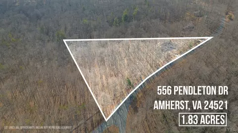 556 Pendleton Dr, Amherst, VA 24521 photo 74