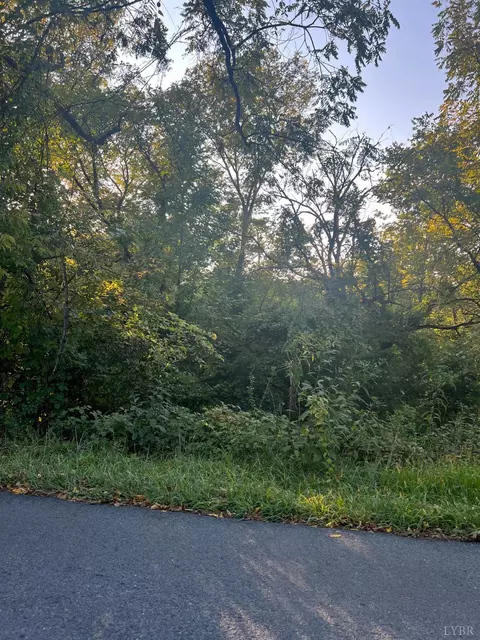 0 Kings Rd, Madison Heights, VA 24572