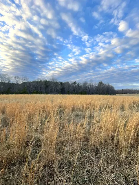 0 Sugar Hill Rd, Brookneal, VA 24528