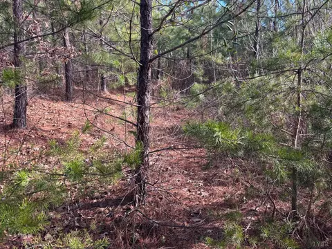 0 Mohawk, Long Island, VA 24569