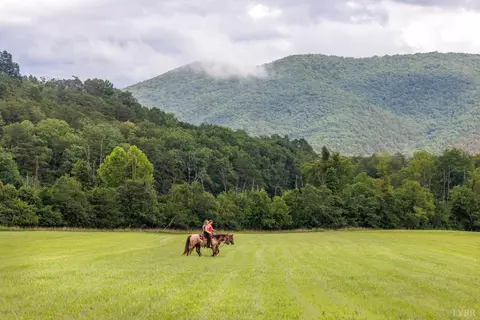 0 41 News Rd, Eagle Rock, VA 24085