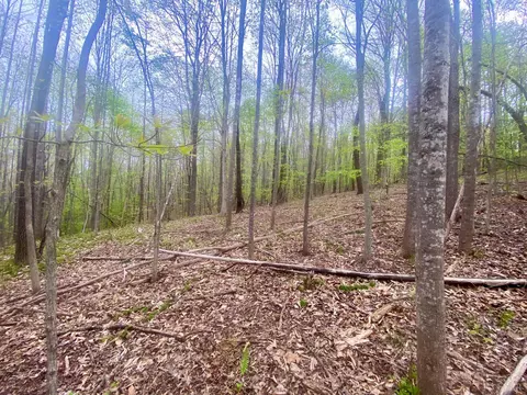 0 Rothwood Rd, Monroe, VA 24574