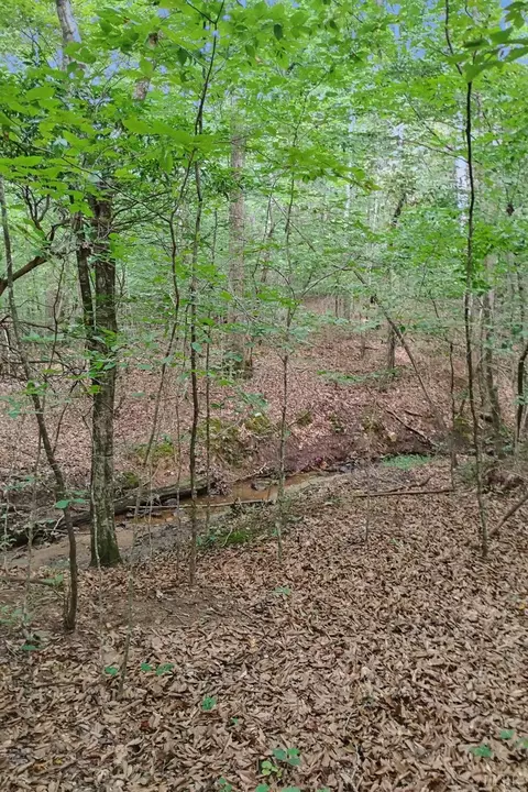 0 550 Mitchell Rd, Axton, VA 24504 photo 10