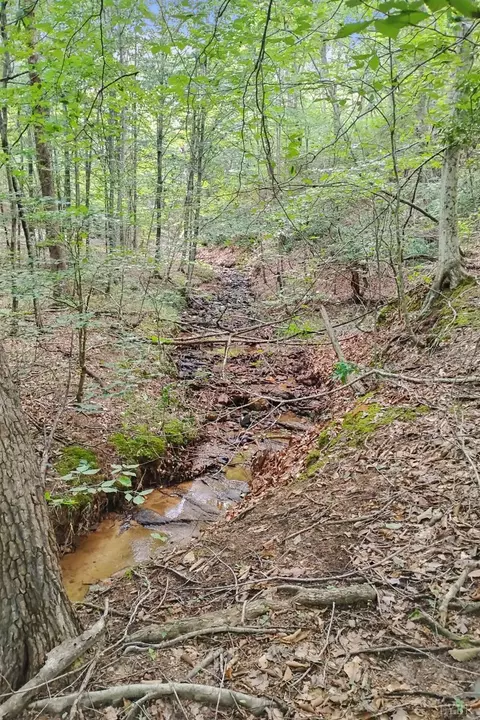0 550 Mitchell Rd, Axton, VA 24504 photo 7