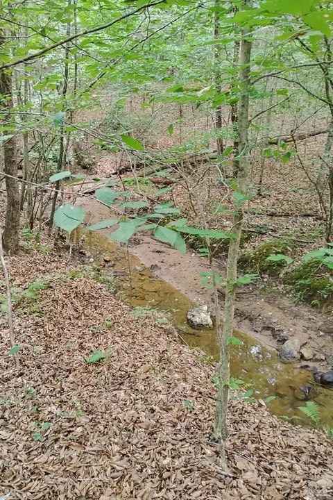 0 550 Mitchell Rd, Axton, VA 24504 photo 9