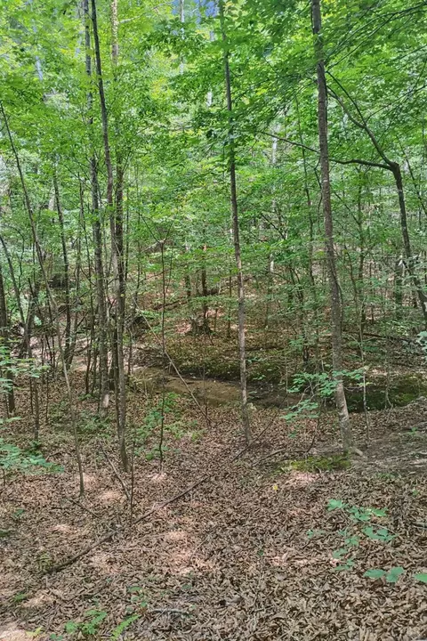 0 550 Mitchell Rd, Axton, VA 24504 photo 12
