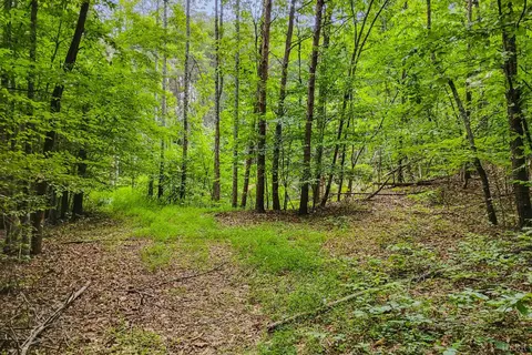 0 550 Mitchell Rd, Axton, VA 24504 photo 6