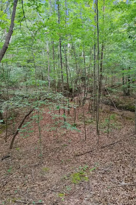 0 550 Mitchell Rd, Axton, VA 24504 photo 8