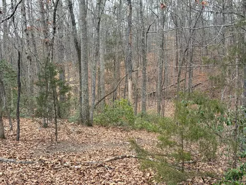 819 One Mile Rd, Evington, VA 24550 photo 7