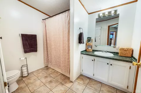 Bath - 339 Plain Ridge Dr, Evington, VA 24550 photo 4 of 6