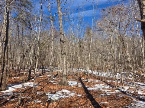 0 Otterwood Ct, Evington, VA 24550