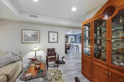 Other - 1424 Lake Manor Dr, Forest, VA 24551 photo 23 of 29