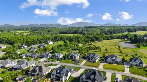 View/Area - 1424 Lake Manor Dr, Forest, VA 24551 photo 3 of 3
