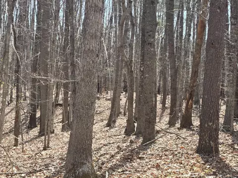 0 Equestrian Trail Rd, New Canton, VA 23123