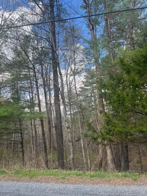 0 Blue Ridge Ln, Monroe, VA 24574 photo 7