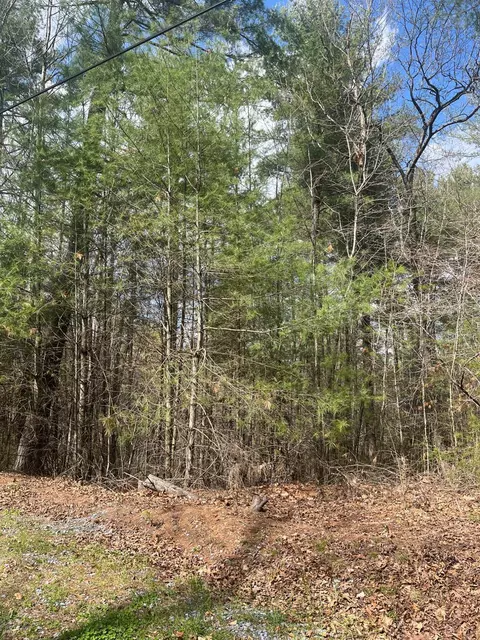 0 Blue Ridge Ln, Monroe, VA 24574 photo 6