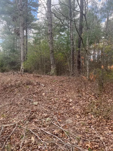 0 Blue Ridge Ln, Monroe, VA 24574 photo 3