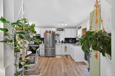 Other - 150 Mount Olive Rd, Amherst, VA 24521 photo 2 of 10