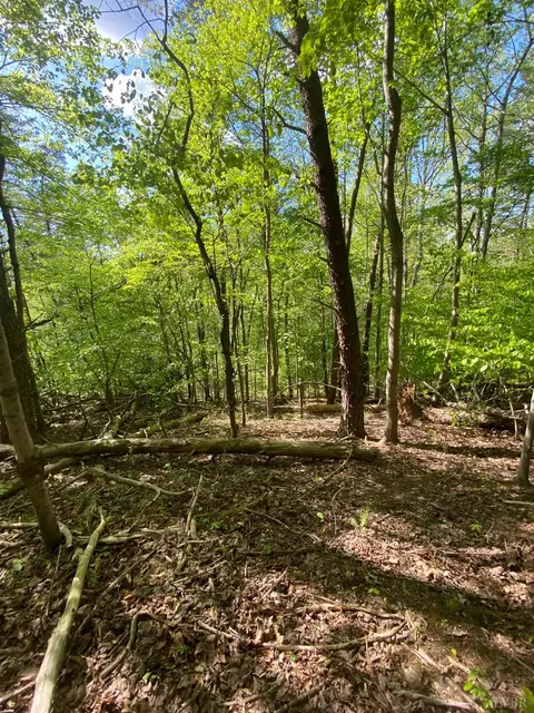 0 Misty Mountain Rd, Lynch Station, VA 24571