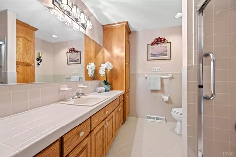 Bath - 355 Dyson Rd, Amherst, VA 24521 photo 3 of 6