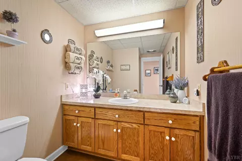 Bath - 355 Dyson Rd, Amherst, VA 24521 photo 5 of 6
