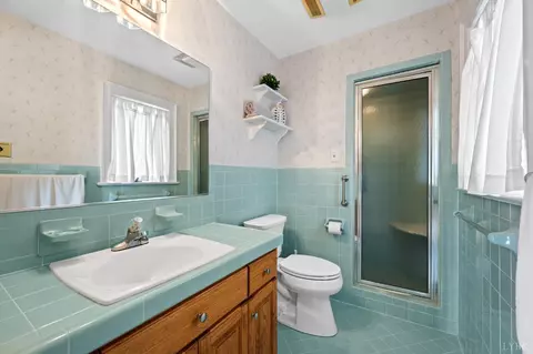 Bath - 355 Dyson Rd, Amherst, VA 24521 photo 4 of 6
