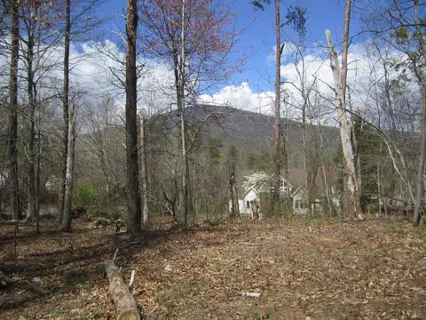 5 Logan Pl, Nellysford, VA 22958